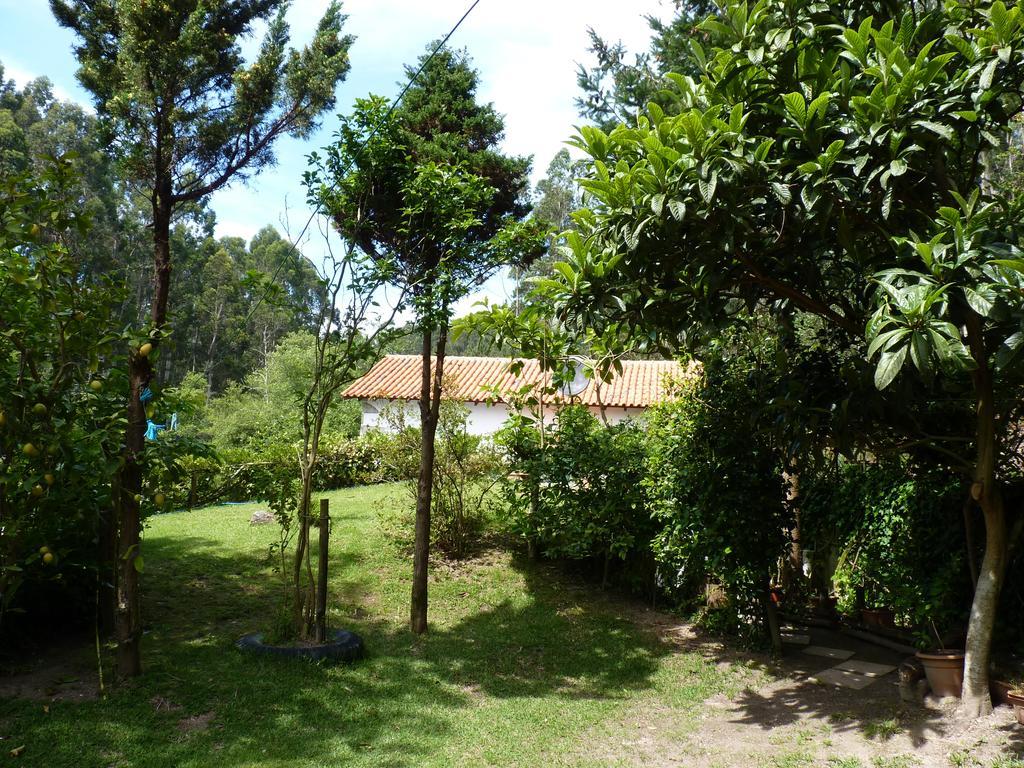 Hébergement de vacances Casa Da Azenha Branca Castelo Do Neiva